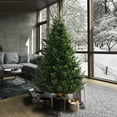 thumbnail image 1 of Vickerman 6.5' x 49" Eagle Fraser Fir Full Artificial Christmas Tree, Unlit, 1 of 3