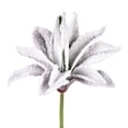 thumbnail image 1 of Vickerman 6-8" Artificial Frosted Succulents, Pack of 3, 1 of 6