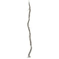 thumbnail image 1 of Vickerman 6' Artificial Basil Twig Garland., 1 of 1