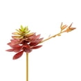 thumbnail image 1 of Vickerman 6" Artificial Black Prince Echeveria Pick, Set of 3, 1 of 3