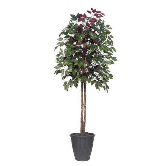 Vickerman 6' Artificial Capensia Tree, Gray Round Plastic Container, Silk