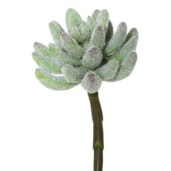 Vickerman 6" Artificial Frosted Crassula Pick, Set of 3