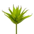 thumbnail image 1 of Vickerman 6" Artificial Green Aloe Pick, Pack of 3, 1 of 3