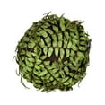 thumbnail image 1 of Vickerman 6"  Artificial Green Boston Fern Ball., 1 of 2