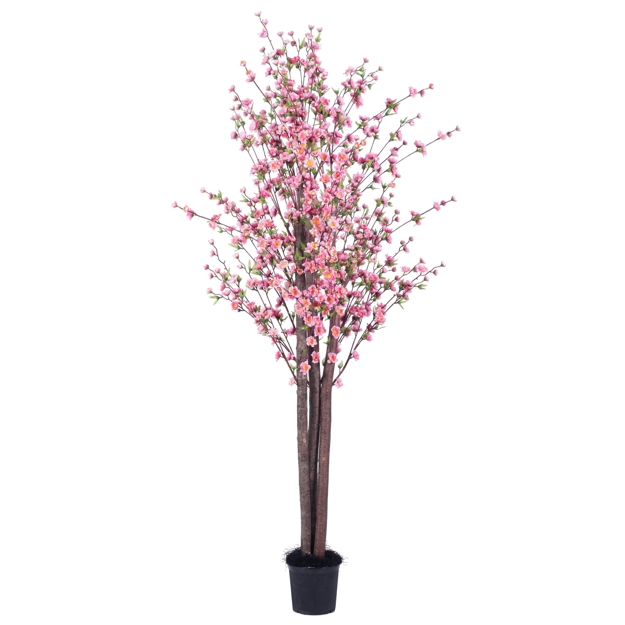 6' Hot Pink Silk Blossom Tree in Black Plastic Pot