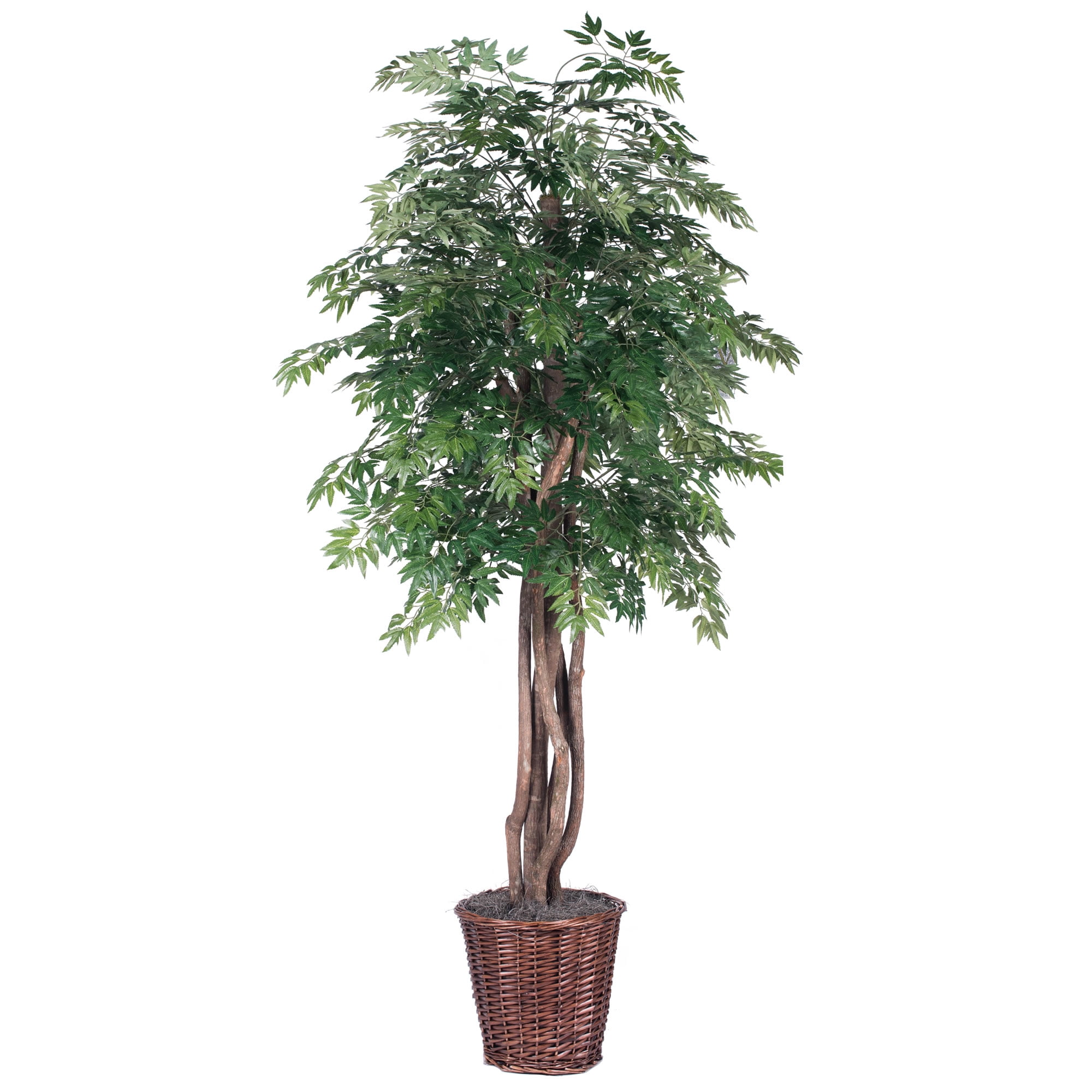 Elegant Silk Ming Aralia 73" Faux Potted Tree with Realistic Dragonwood