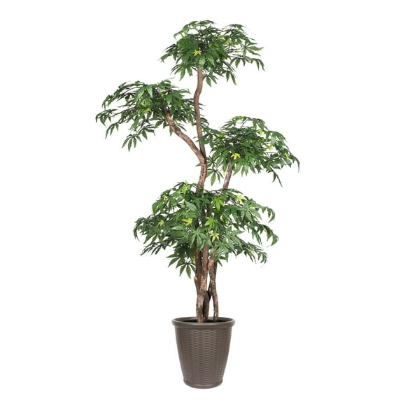 Vickerman 6' Artificial Multi Level Japanese Maple Tree, Brown Round Plastic Container.