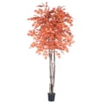 thumbnail image 1 of Vickerman 6' Artificial Orange Maple Deluxe, Black Plastic Pot, 1 of 2