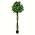 thumbnail image 1 of Vickerman 6' Artificial Potted Bay Leaf Topiary, 1 of 3