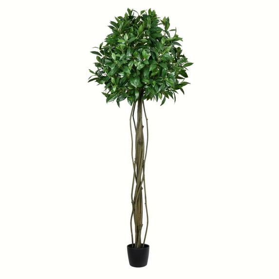 Vickerman 6' Artificial Potted Bay Leaf Topiary