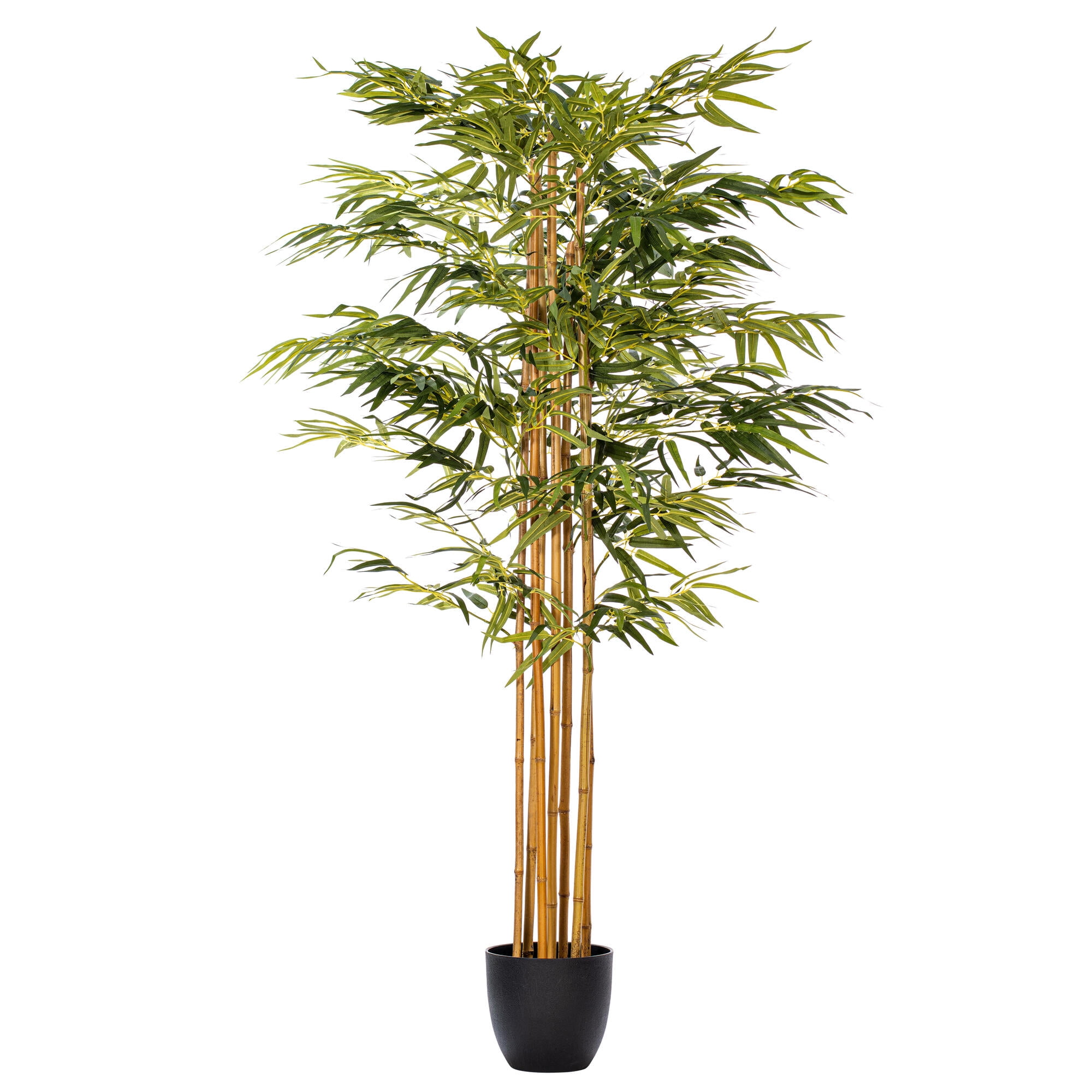 6 ft Green Bamboo Tree with Black Pot