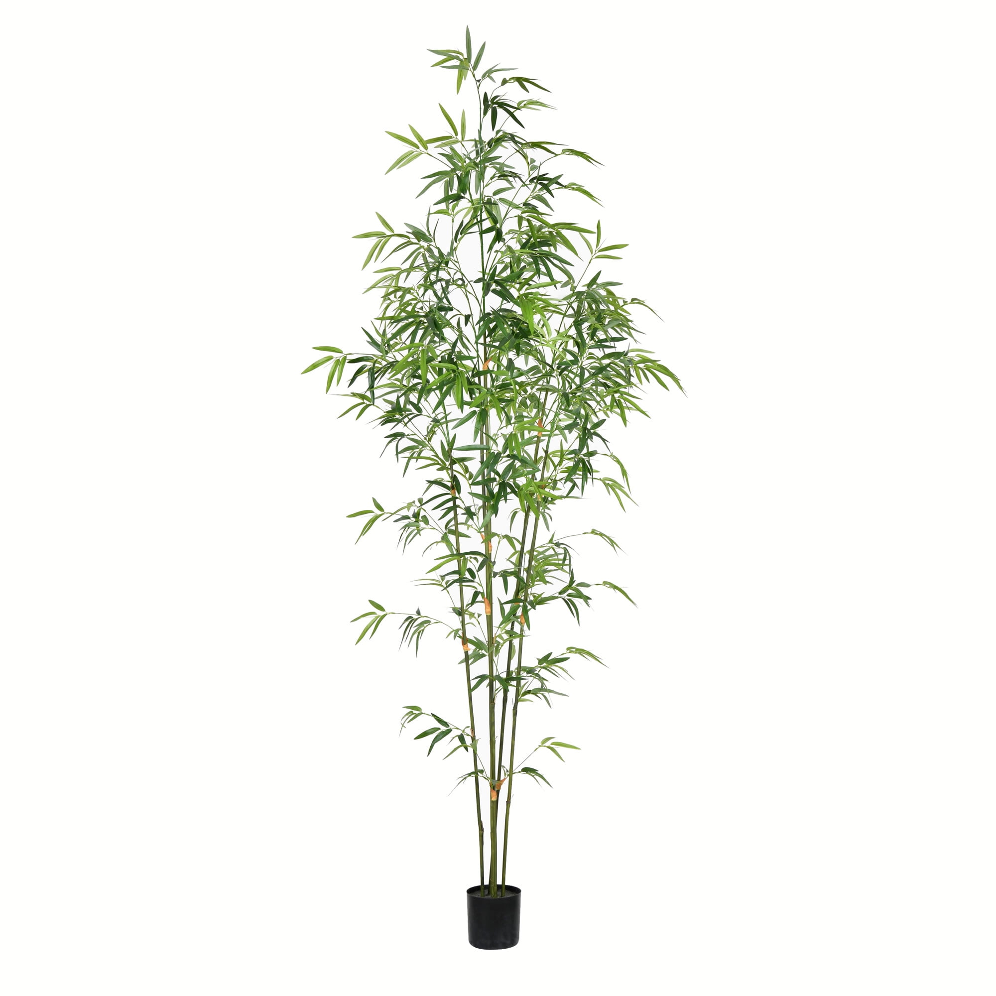 EcoChic 6' Lifelike Potted Bamboo Floor Plant for Indoor/Outdoor Decor