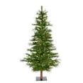 thumbnail image 1 of Vickerman 6' Ashland Artificial Christmas Tree Unlit, 1 of 4