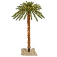 thumbnail image 1 of Vickerman 6' Outdoor Palm Artificial Tree with 300 Warm White Italian LED Lights, 1 of 2