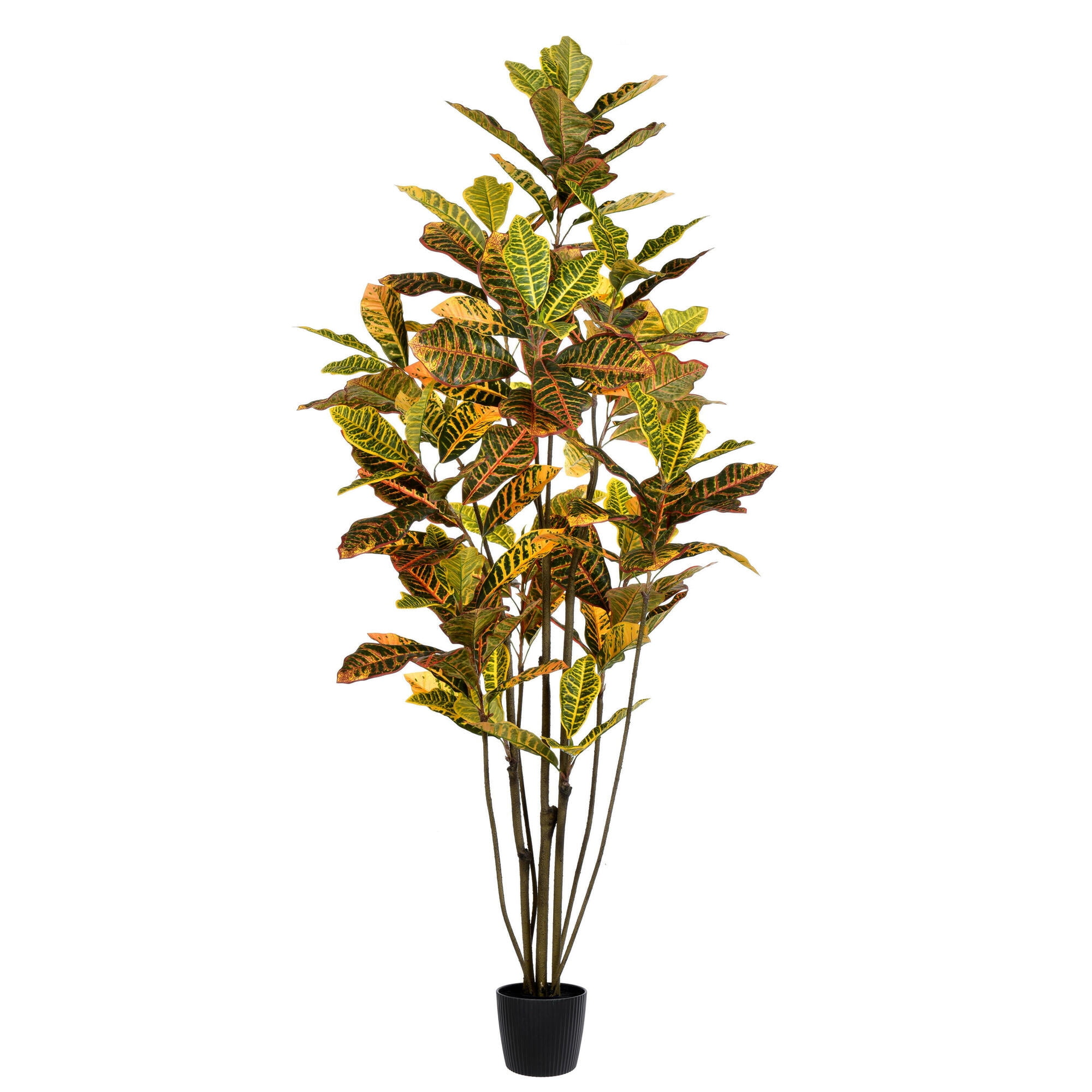 6' Green and Orange Faux Croton Tree in Black Planter
