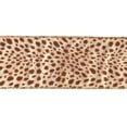 thumbnail image 1 of Vickerman 6" x 10yd Gold Lame Velvet Brown Leopard Ribbon, 1 of 7
