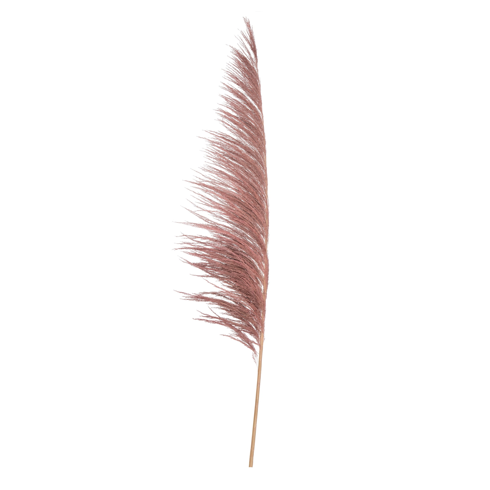 Dusty Rose 60-72" Dried Palm Flower Stems, Pack of 10