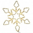 thumbnail image 1 of Vickerman 60" LED 338Lt PureWht Diamond Snowflake LED Novelty Light, 1 of 2