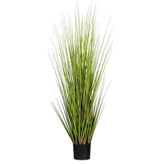 60" Green Lemongrass Potted
