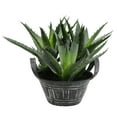 thumbnail image 1 of Vickerman 7.5" Artificial Green Succulent in Galvanized Pot., 1 of 2
