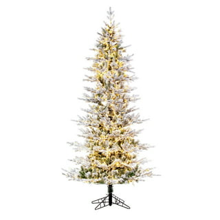 https://i5.walmartimages.com/seo/Vickerman-7-5-x-45-Flocked-Slim-Kiana-Artificial-Christmas-Tree-3mm-LED-Color-Changing-Lights_a8700e92-7bd3-410d-b417-988313acc57f.fe1d20228f1dc5051933de116771143f.jpeg?odnHeight=320&odnWidth=320&odnBg=FFFFFF