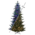 thumbnail image 1 of Vickerman 7.5' x 54" Natural Fraser Fir Artificial Christmas Tree, 3mm LED Color Changing Lights, 1 of 8