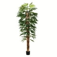 thumbnail image 1 of Vickerman 7' Artificial Artificial Potted Rhaphis Tree., 1 of 3