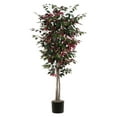 thumbnail image 1 of Vickerman 7' Artificial Capensia Deluxe, Black Plastic Pot, 1 of 2