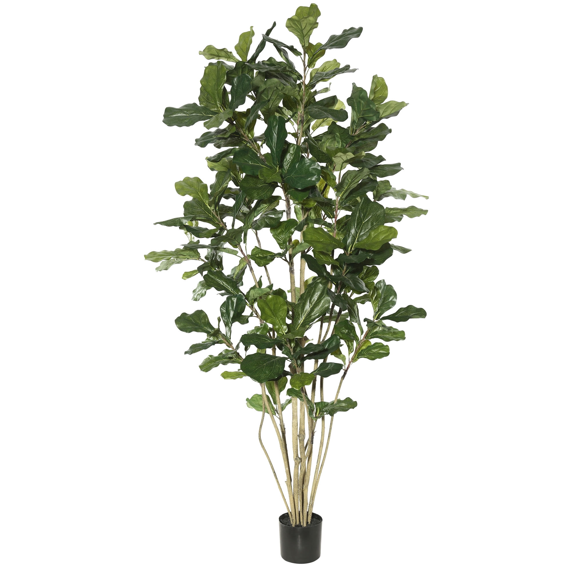 7' Green Faux Fiddle Leaf Fig Tree in Black Pot