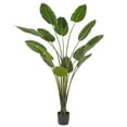thumbnail image 1 of Vickerman 7' Artificial Potted Travellers Palm Tree., 1 of 12