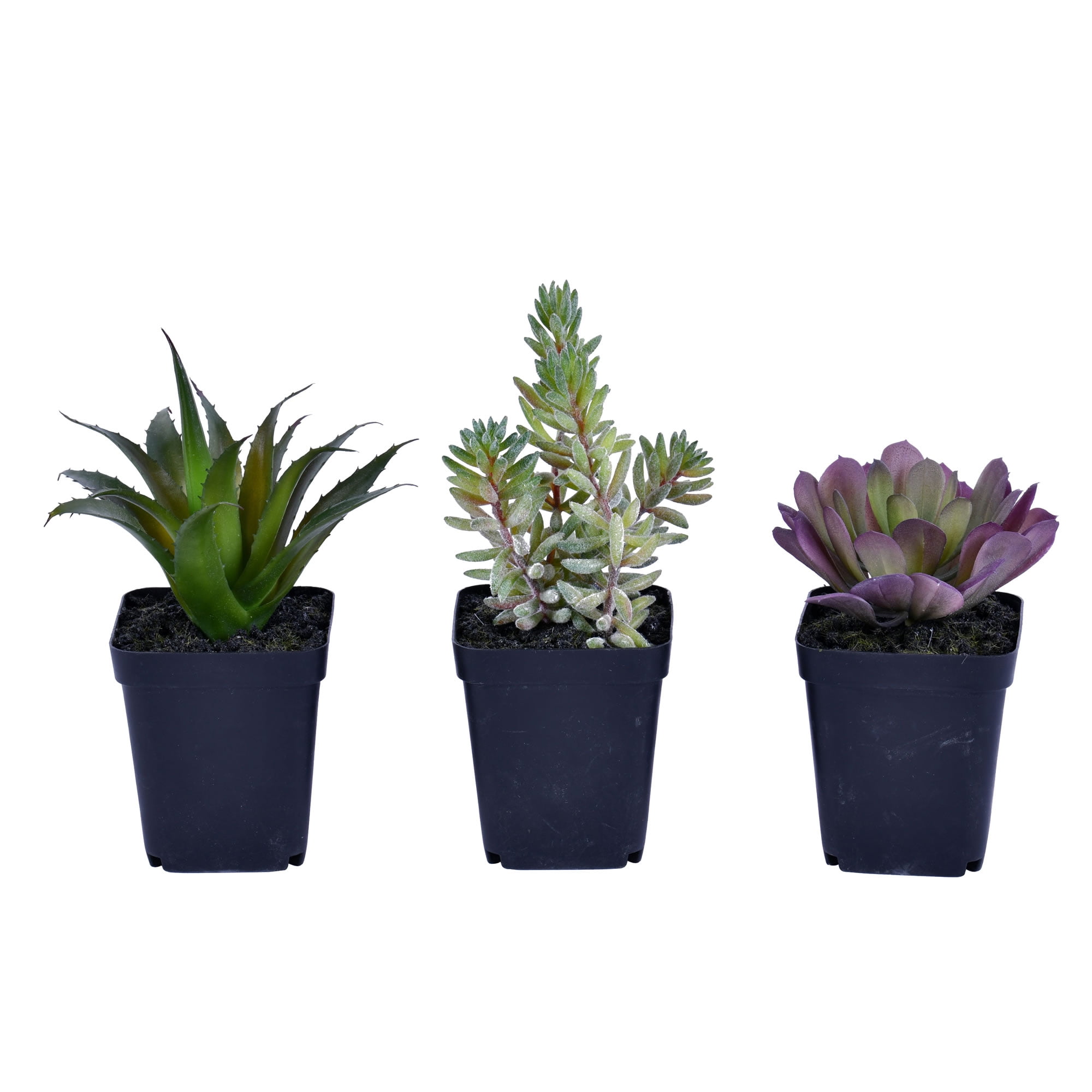 Set of Three Minimalist Green and Purple Plastic Potted Succulents