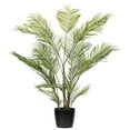 thumbnail image 1 of Vickerman 70.5" Green Areca Palm Plant. This is an artificial plant in a black plastic pot., 1 of 2