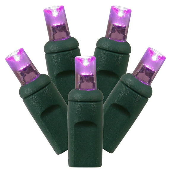 Vickerman 70 PurpleTwinkle LED Light on Green Wire, 4" Spacing x 24' Long Light Strand.