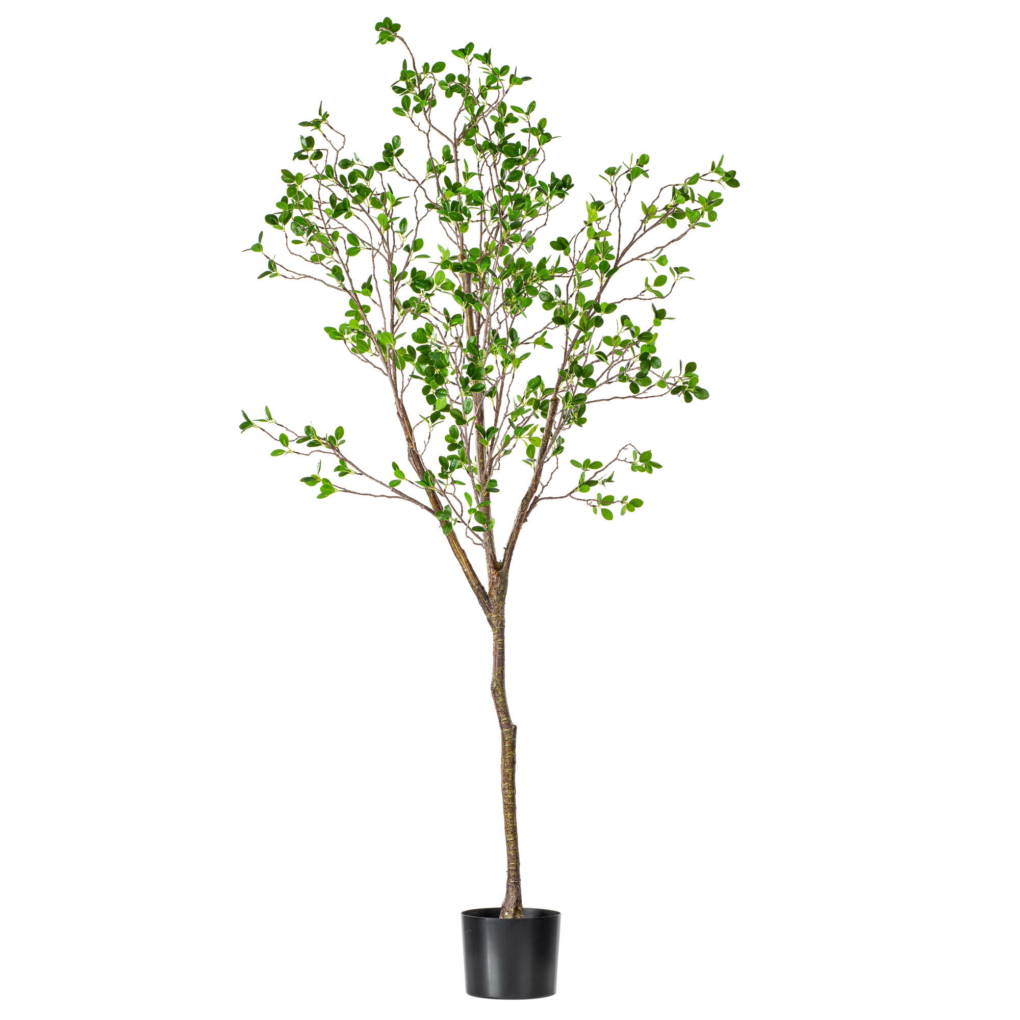 Vickerman 72" Artificial Milan Leaf Tree in Black Planters Pot