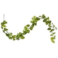thumbnail image 1 of Vickerman FTL251172UV 72 in. Artificial Manjula Pothos UV Garland, Green, 1 of 1