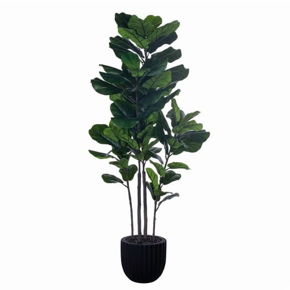 Vickerman FLA250772UV 72 in. Fiddle Leaf Potted UV Plant, Green