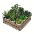 thumbnail image 1 of Vickerman 8" Artificial Potted Garden Grass., 1 of 2