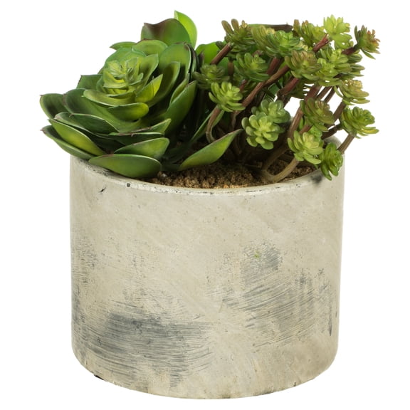Vickerman 8" Artificial Succulent Arrangement.