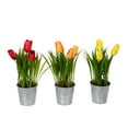 thumbnail image 1 of Vickerman 9.5" Artificial Assorted Set of Tulips in Metal Pot., 1 of 9