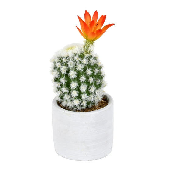 Vickerman 9" Artificial Green Cactus in Cement Pot, Pack of 2