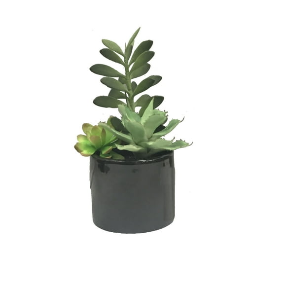 Vickerman 9" Artificial Green Succulents in Cement Pot.