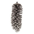 thumbnail image 1 of Vickerman 9" Snowy Glitter Pinecone Ornament, 2 per bag., 1 of 1
