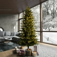 thumbnail image 1 of Vickerman 9' x 57" Kamas Fraser Fir Artificial Christmas Tree with 3mm LED Color Changing Lights, 1 of 7
