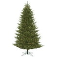 thumbnail image 1 of Vickerman 9' x 66" Fresh Fraser Fir Artificial Christmas Tree, Clear Dura-lit Lights, 1 of 4