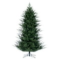 thumbnail image 1 of Vickerman 9' x 66" North Shore Fraser Fir Artificial Christmas Tree, Unlit, 1 of 5