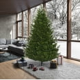 thumbnail image 1 of Vickerman 9' x 67" Eagle Fraser Full Artificial Christmas Tree, Unlit, 1 of 4