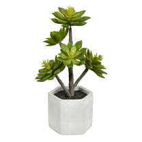 Vickerman Artificial 13"Succulent, Cement Pot