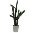 thumbnail image 1 of Vickerman Artificial 29" Green Cactus Plant., 1 of 7