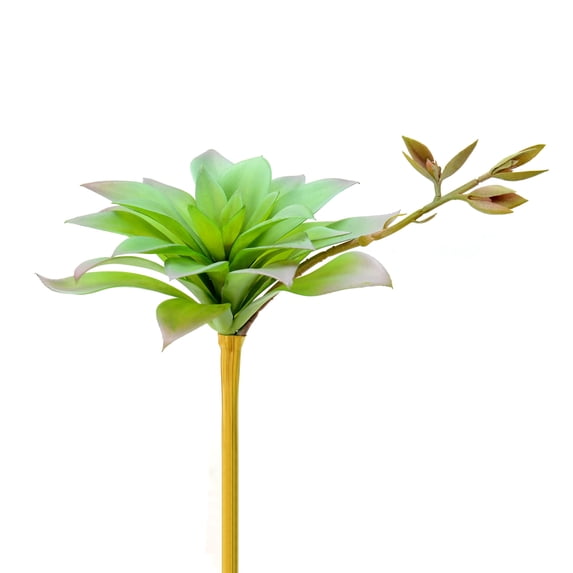 Vickerman Artificial Green Agave Pick, Set of 3