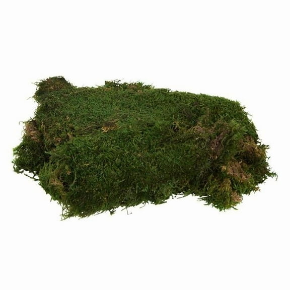 Vickerman Bag of Green Sheet Moss, Preserved